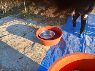 알 수 없음님의 우리동네 · 동네수다 작성글 사진