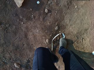 오영도님의 자유주제 · 자유게시판 작성글 사진