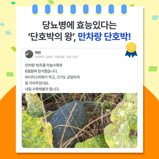 팜모닝 베스트님의 팜모닝공식 · 팜모닝 베스트 작성글 사진