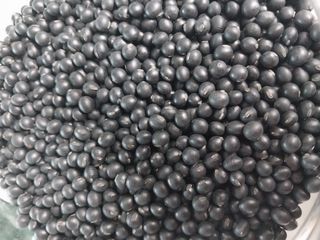 김 영심님의 최근 산 물건을 알려주세요! · 참여글 작성글 사진