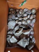 팜모닝 최근 산 물건을 알려주세요!·참여글 게시글 이미지