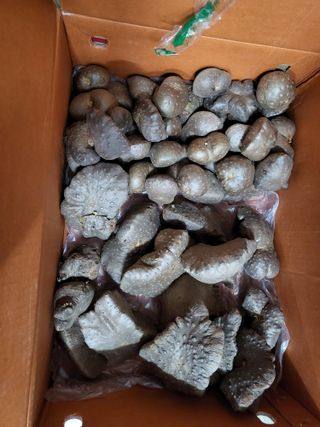 사노라면님의 최근 산 물건을 알려주세요! · 참여글 작성글 사진