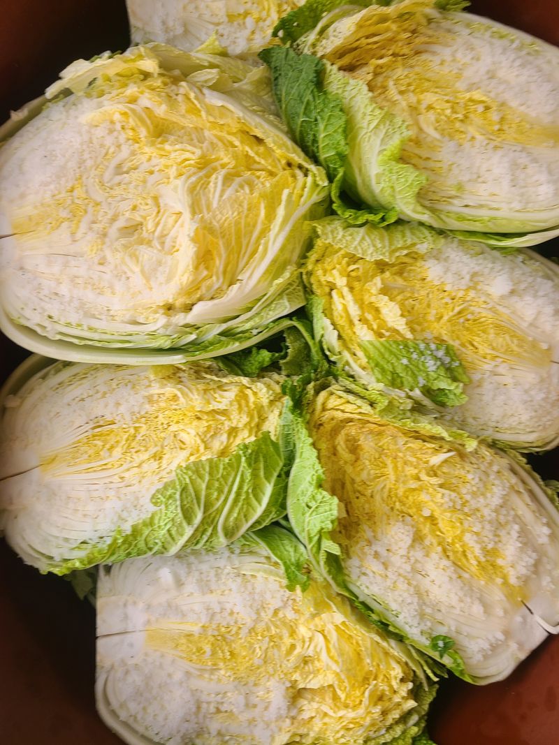 장터 상품 [김장절임배추20kg1박스] 썸네일