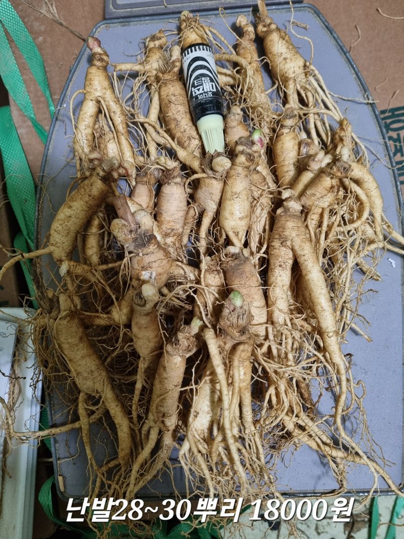 모두팜님의 장터 판매 상품 [인삼  판매합니다  750g] 첨부 사진