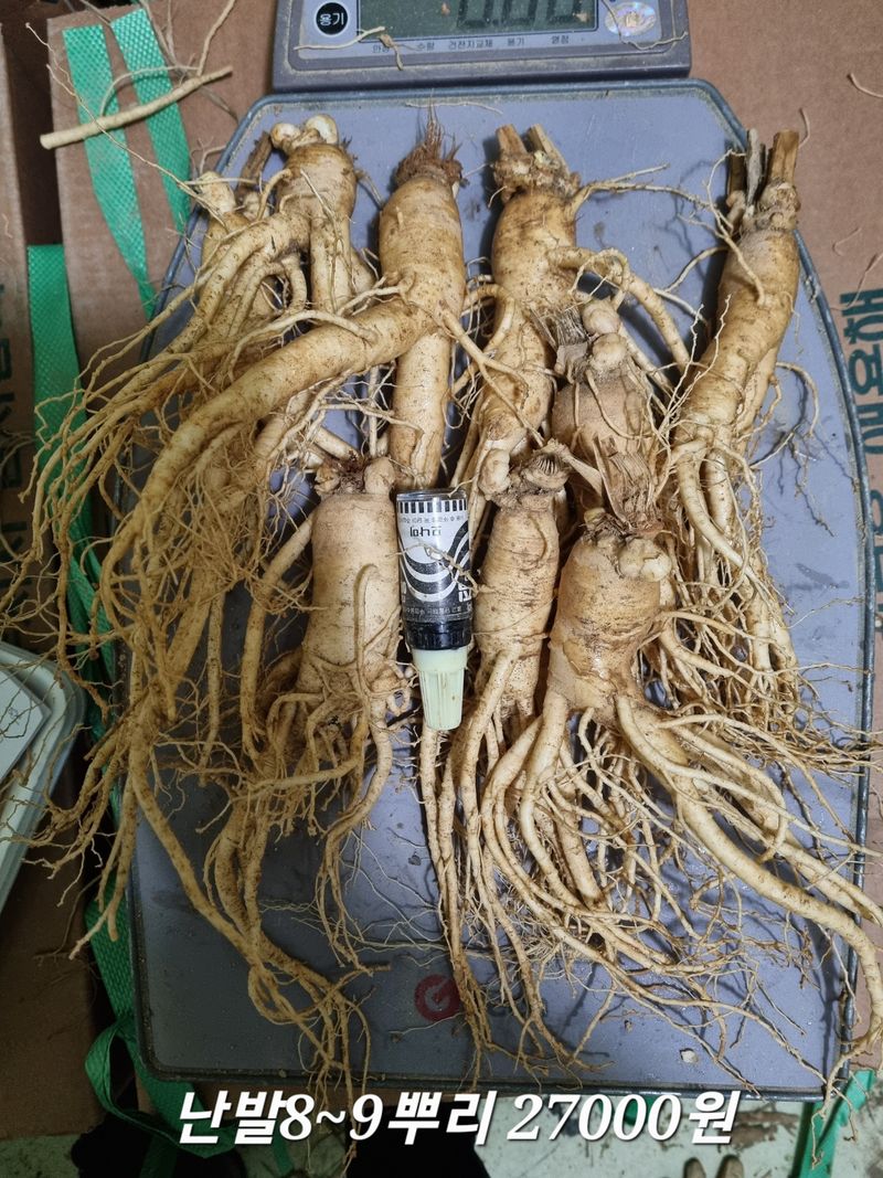 모두팜님의 장터 판매 상품 [인삼  판매합니다  750g] 첨부 사진