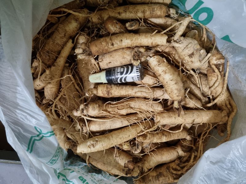 모두팜님의 장터 판매 상품 [인삼  판매합니다  750g] 첨부 사진