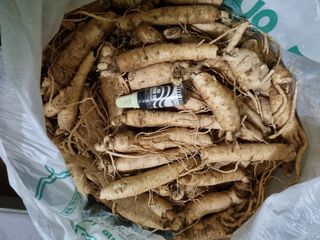 모두팜님의 작성글 사진