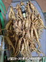 팜모닝 · 게시글 이미지