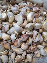 팜모닝 · 게시글 이미지