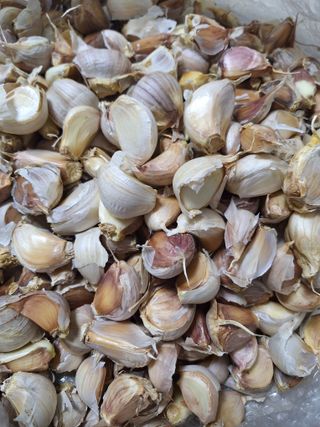 오남현님의 작성글 사진