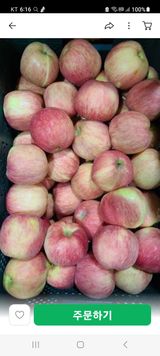 팜모닝 최근 산 물건을 알려주세요!·참여글 게시글 이미지