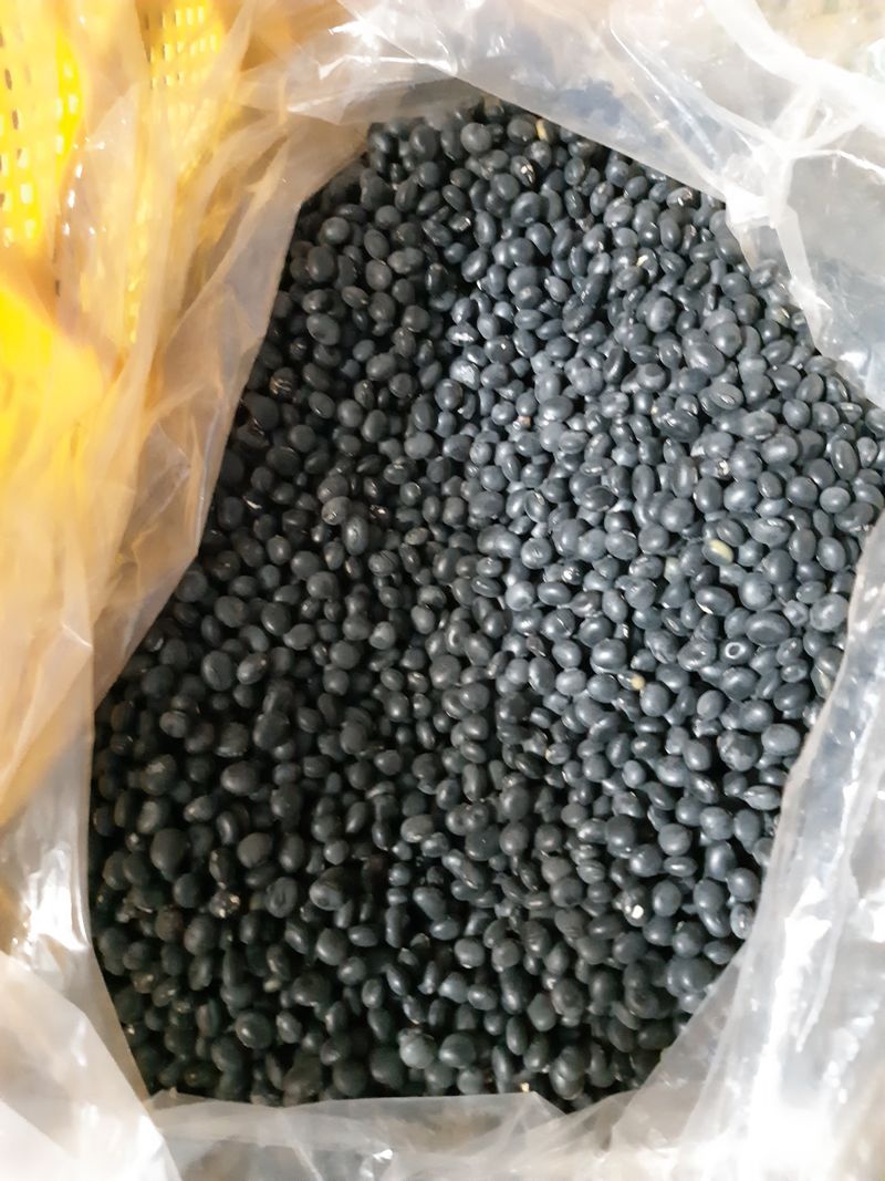 장터 상품 [서리태 1키로] 썸네일