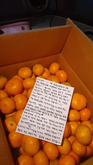 왕왕초보동읍거주님의 최근 산 물건을 알려주세요! · 참여글 작성글 사진