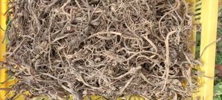 감자7294님의 작성글 사진