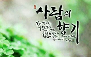 심수연님의 자유주제 · 자유게시판 작성글 사진