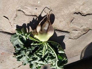 이숙규님의 자유주제 · 자유게시판 작성글 사진