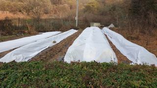 박선화님의 자유주제 · 자유게시판 작성글 사진