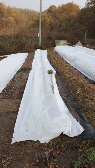 박선화님의 자유주제 · 자유게시판 작성글 사진