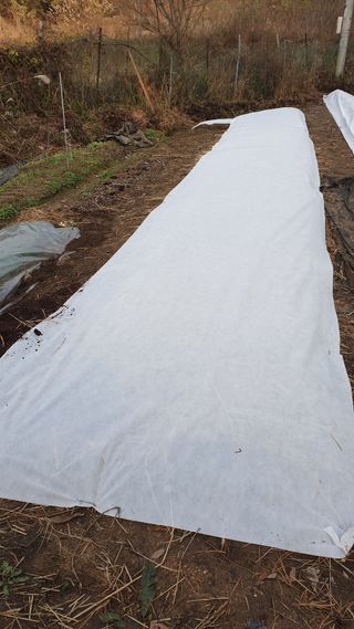 박선화님의 자유주제 · 자유게시판 작성글 사진