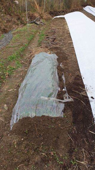 박선화님의 자유주제 · 자유게시판 작성글 사진