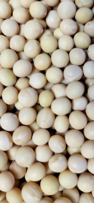 산조아자연인님의 작성글 사진