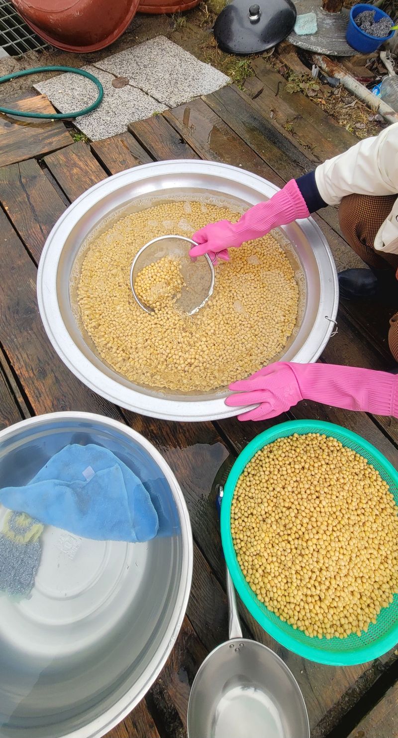 산조아자연인님의 장터 판매 상품 [2023년 대원콩 8Kg] 첨부 사진