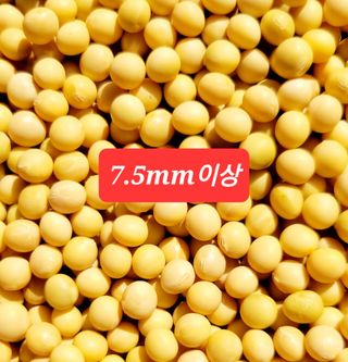 선비 농군님의 작성글 사진