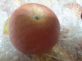 최순님의 최근 산 물건을 알려주세요! · 참여글 작성글 사진