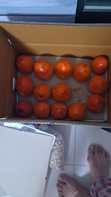 팜모닝 최근 산 물건을 알려주세요!·참여글 게시글 이미지