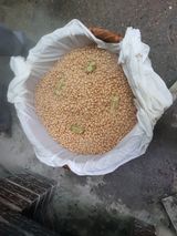 팜모닝 자유주제·자유게시판 게시글 이미지