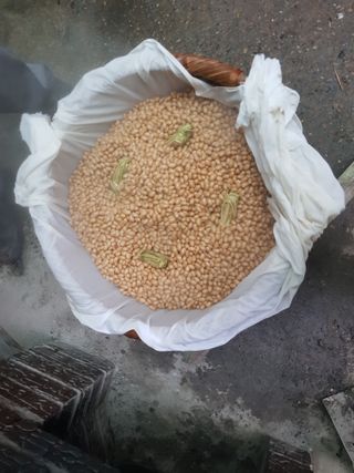 이윤미님의 자유주제 · 자유게시판 작성글 사진