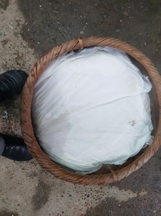 이윤미님의 자유주제 · 자유게시판 작성글 사진