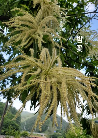 홍천 손춘목 님의 팜모닝 · 출석 작성글 사진