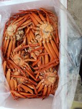 팜모닝 최근 산 물건을 알려주세요!·참여글 게시글 이미지