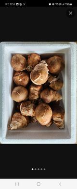 팜모닝 최근 산 물건을 알려주세요!·참여글 게시글 이미지