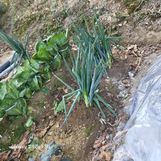 장유경만점자님의 최근 산 물건을 알려주세요! · 참여글 작성글 사진