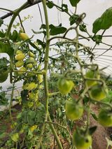 팜모닝 자유주제·자유게시판 게시글 이미지