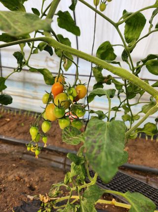 갑돌이님의 자유주제 · 자유게시판 작성글 사진