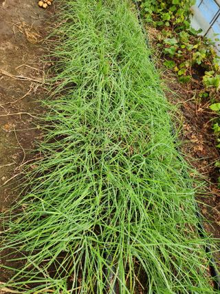 갑돌이님의 자유주제 · 자유게시판 작성글 사진