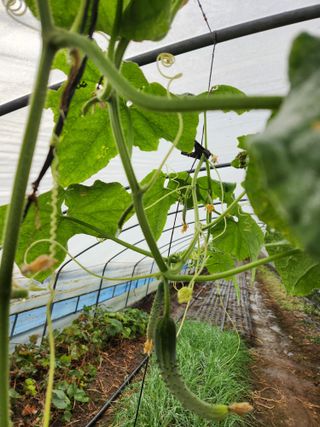 갑돌이님의 자유주제 · 자유게시판 작성글 사진