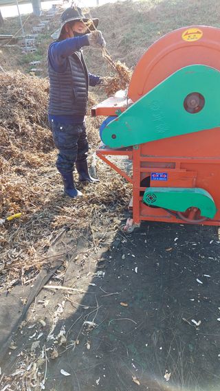 박진하님의 콩 · 자유게시판 작성글 사진