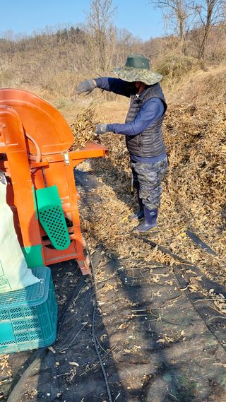 박진하님의 콩 · 자유게시판 작성글 사진