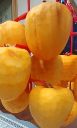 팜모닝 최근 산 물건을 알려주세요!·참여글 게시글 이미지