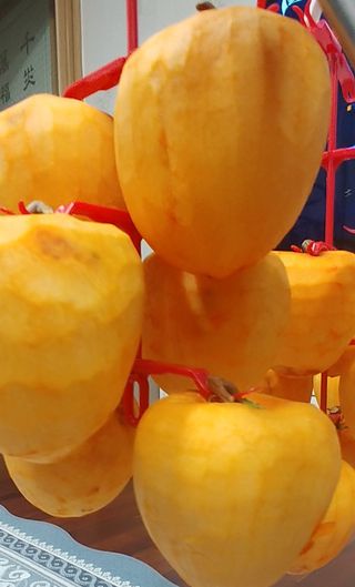 처마밑에추녀님의 최근 산 물건을 알려주세요! · 참여글 작성글 사진