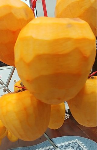 처마밑에추녀님의 최근 산 물건을 알려주세요! · 참여글 작성글 사진