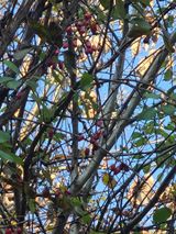 팜모닝 자유주제·자유게시판 게시글 이미지