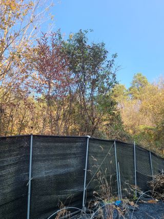 전재문님의 자유주제 · 자유게시판 작성글 사진