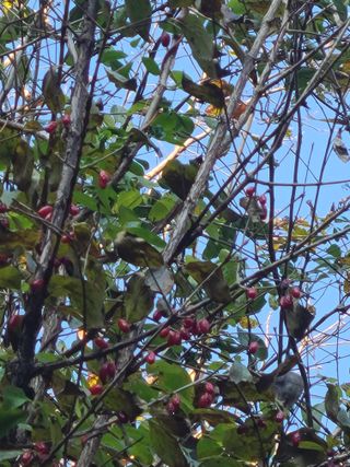 전재문님의 자유주제 · 자유게시판 작성글 사진