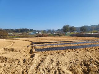 남원여시님의 파 · 영농일지 작성글 사진