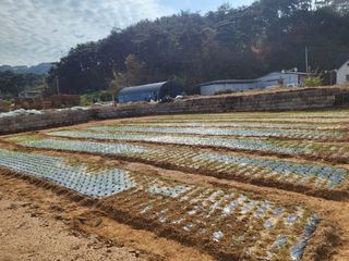 남원여시님의 파 · 영농일지 작성글 사진